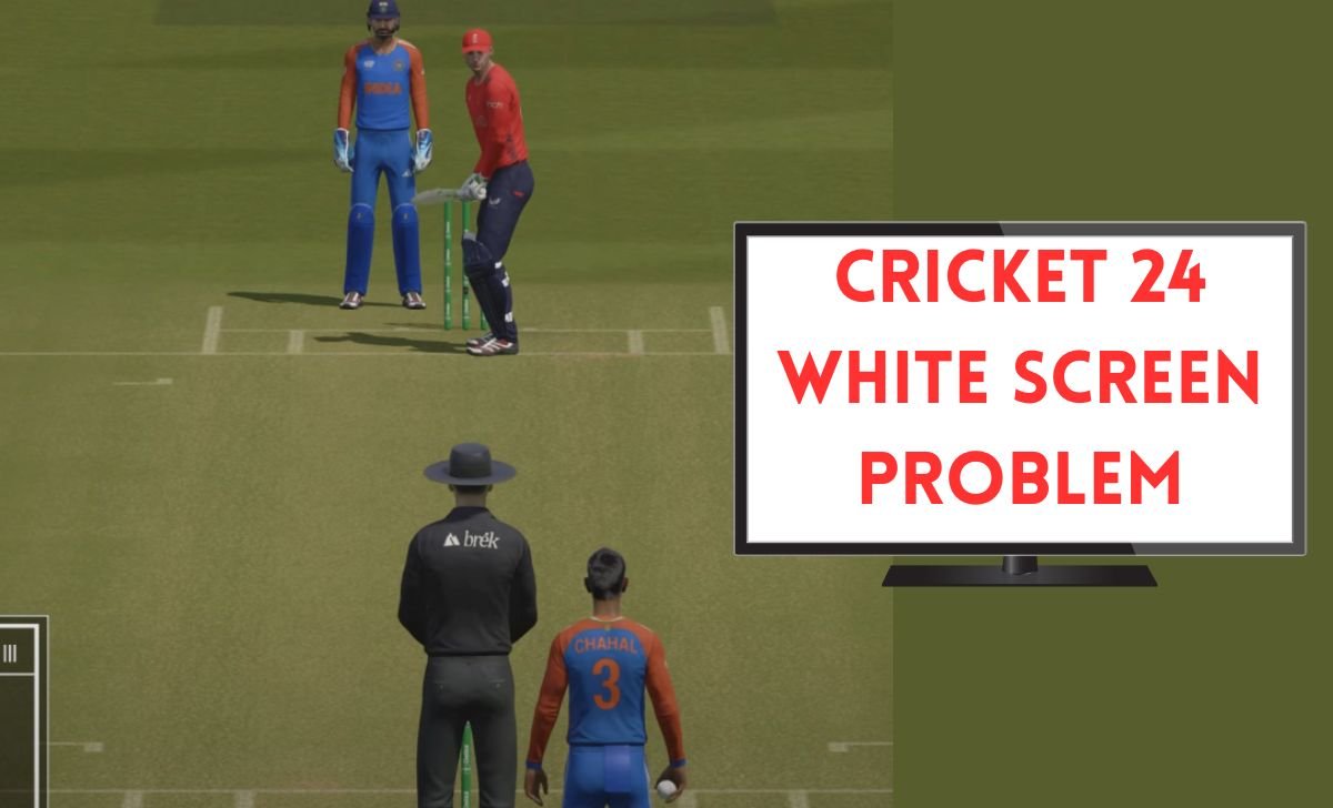 Cricket 24 White Screen Problem